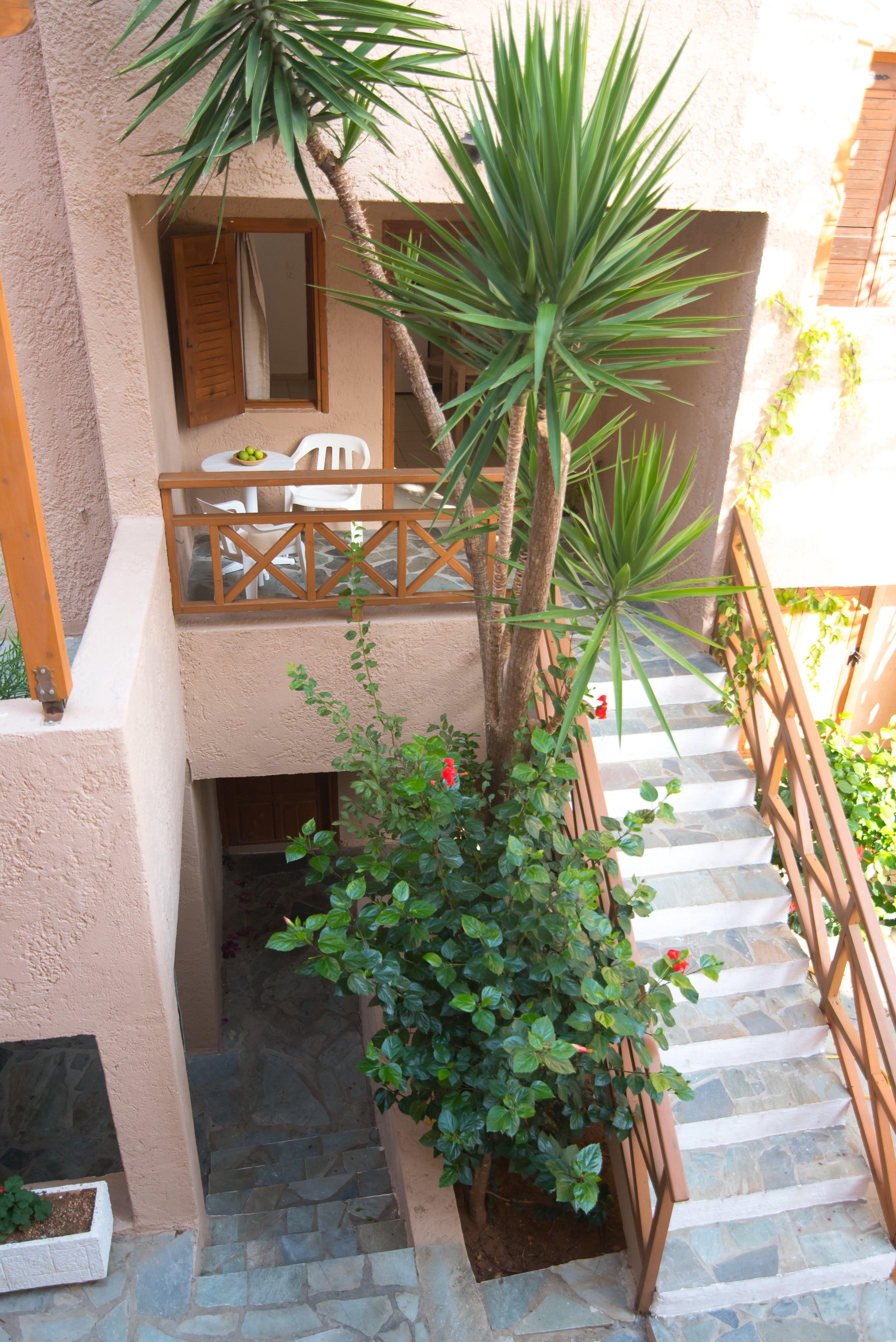 Anna Maria Hotel Malia  Exterior photo